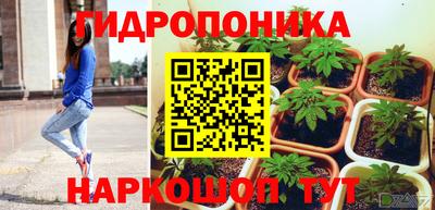 скорость Аргун